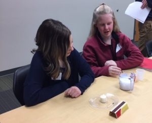 Two 7th grade girls also conduct a science experiment at Science Technology Engineering and Mathematics Institute