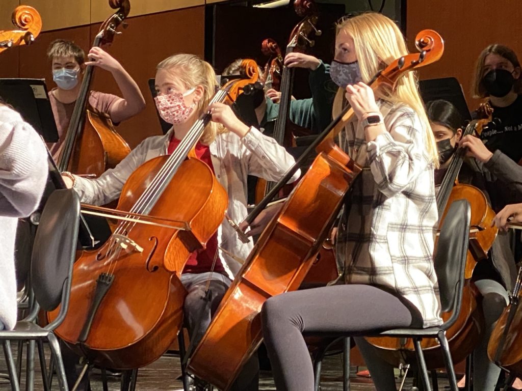 Cello players at Metro Orchestra Festival